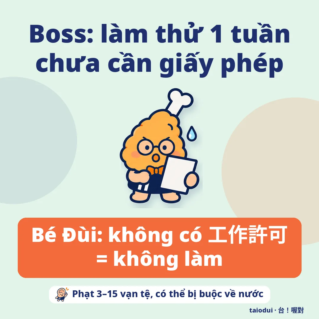 Boss: làm thử 1 tuần chưa cần giấy phép — Bé Đùi: không có 工作許可 = không làm. Mẹo: Phạt 3–15 vạn tệ, có thể bị buộc về nước