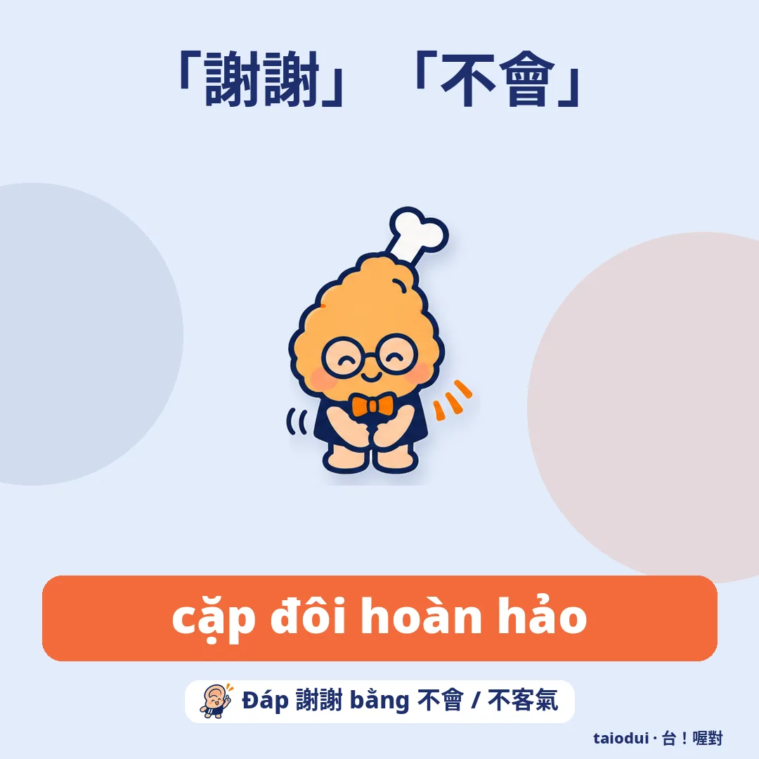 「謝謝」「不會」 — cặp đôi hoàn hảo. Mẹo: Đáp 謝謝 bằng 不會 / 不客氣